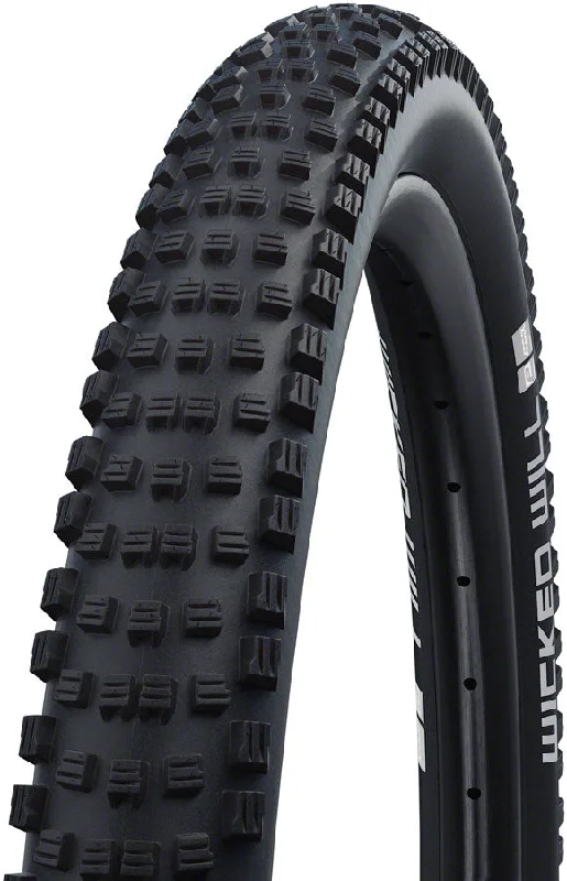 Schwalbe Wicked Will Tire - 29 x 2.6 Clincher Folding BLK Performance Line Addix