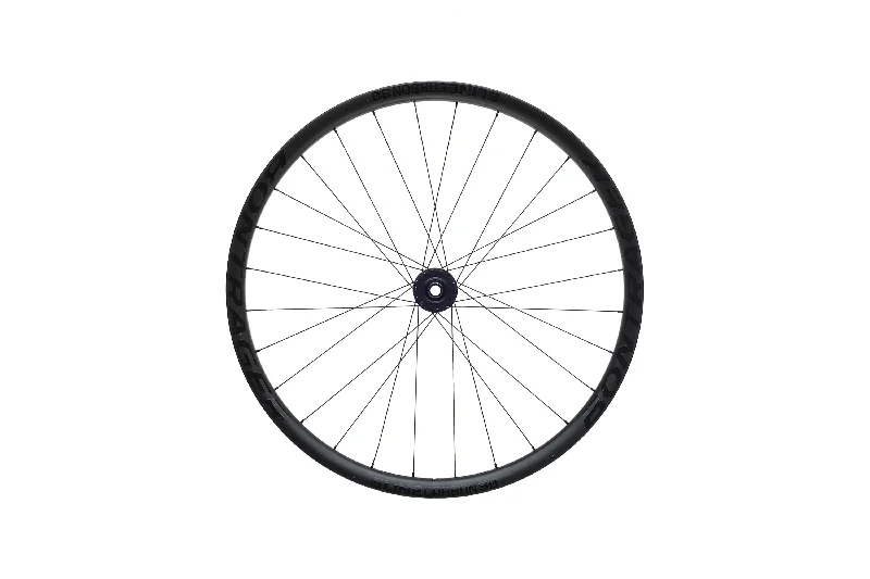 Bontrager Line Carbon 30 Tubeless 29" Front Wheel