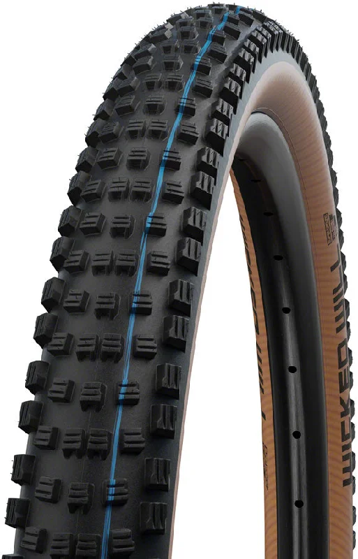 Schwalbe Wicked Will Tire - 29 x 2.4 Tubeless Folding BLK/Transparent Evolution Line Super Race Addix SpeedGrip