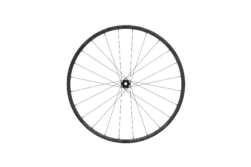 Easton EC70 Trail Carbon Tubeless 29" Front Wheel